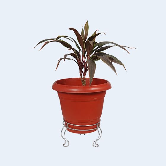 Decorative Plant Stand Set, Stainless Steel, Curved Legs, Indoor Pot Holder